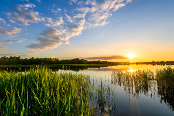 Amazing view at scenic landscape on a beautiful lake and colorful sunset with reflection on water surface among green reeds and glow on a background, spring season landscape - obrazy, fototapety, plakaty
