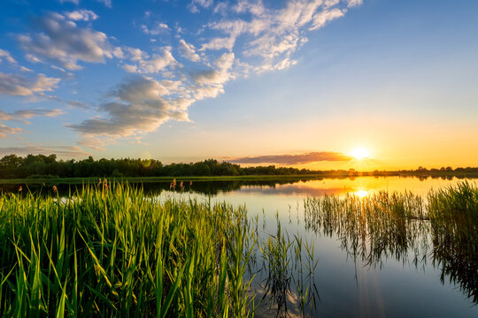 Amazing view at scenic landscape on a beautiful lake and colorful sunset with reflection on water surface among green reeds and glow on a background, spring season landscape