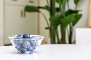 A glass bowl of juicy blueberries on white table of living room interior, cupboards, drawers, and Giant White Bird of Paradise plant (Strelitzia nicolai) out of focus in background, healthy lifestyle