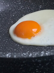 Fried egg in a pan