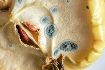 Real mold on half apple