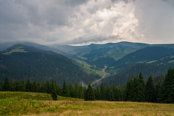 Fototapeta na wymiar Mountain peaks overlooking the valley and the forest, in cloudy weather. Ukraine, Carpathians