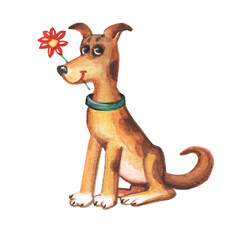 Cute dog on a white background. Watercolor illustration.