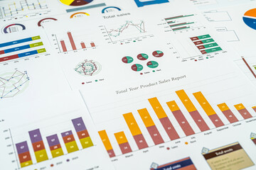 Naklejka na ściany i meble Many business reports. Financial data of the company