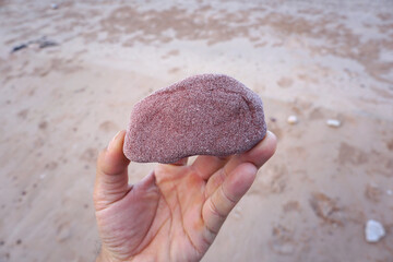 hand holding a raw specimen of purple sandstone cobble rock. 