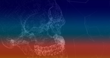 Image of 3d human skull and network of plexus connections on blue background