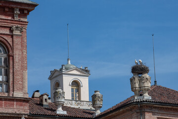 nidi di cicogne a racconigi