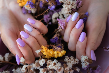 Women's hands with a fashionable very peri manicure against the background of dried flowers....