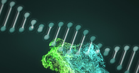 Digital image of dna structure spinning against digital wave on green background