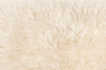beige fluffy wool texture background.  white natural fur texture. close-up for designers