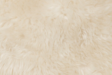 beige fluffy wool texture background.  white natural fur texture. close-up for designers