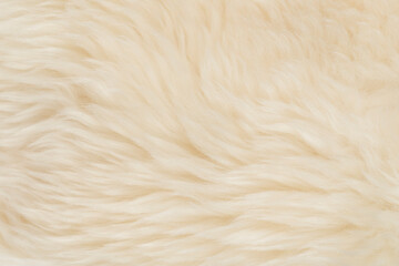 beige fluffy wool texture background.  white natural fur texture. close-up for designers