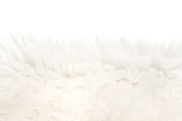 White fluffy wool texture isolated white background. natural fur texture. close-up for designers