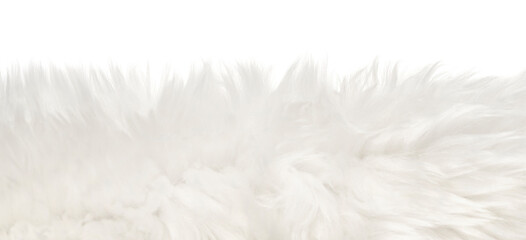 White fluffy wool texture isolated white background. natural fur texture. close-up for designers