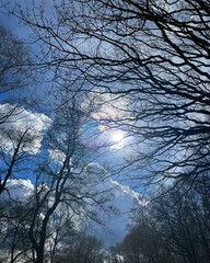 woodland and lakes in the lake district UK. Forests and streams, mountains and walkways