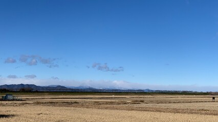 field and sky