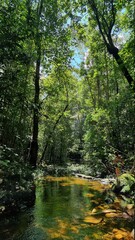 Waterfalls and landscapes in Piren&oacute;polis