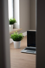 Hiden view from doors of opened laptop. Home workplace with plants