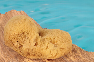Natural activity sponge. Natural product, good for nature. Eco friendly, blue background.