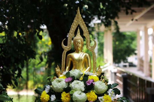 Golden Buddha statue in Buddhism of Thailand with pink lotus shadow. blur background