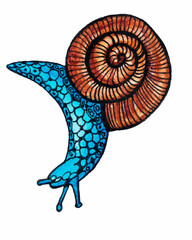 Illustration of a snail. Mixed media.