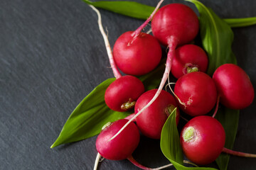 Red radish and fresh ramson leaves on dark stone board, selective focus. Organic vegetables. Vegetarian food concept.