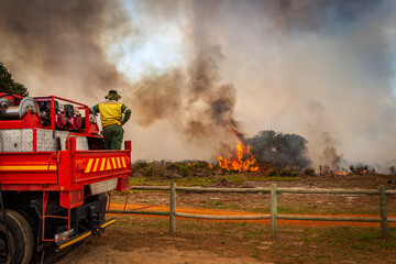 A controlled burn takes place in Tokai forest to help prevent further fires in the area. Tokai, Cape Town.