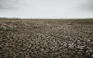 dry lake, dry cracked soil, climate change, drought earth, earth day