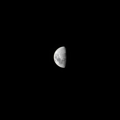 half moon shinning above Sydney NSW Australia on a autumn night. moon craters are visible on the surface