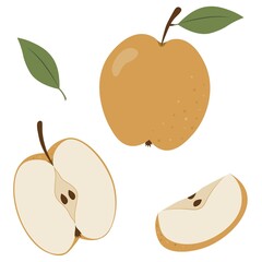 apples on an isolated background