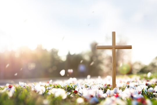 예수그리스도의 죽음과 부활을 상징하는 십자가와 봄 꽃 그리고 떨어지는 꽃잎과 밝은 햇살
