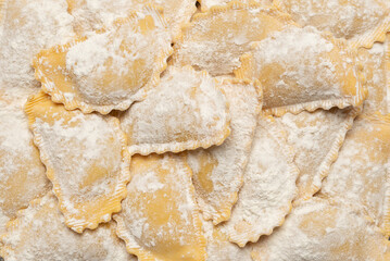 Raw ravioli as background. Healthy italian food.