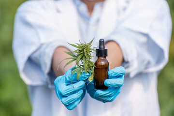Doctor hand holding bottle of Cannabis oil in pipette, Hemp oil drops and fresh cannabis leaves....