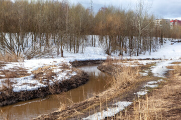 Murinsky stream. Murinsky Park. St. Petersburg. Russia