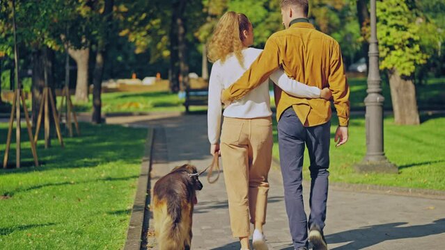 Cute couple hugging and walking along park with purebred dog on leash, back view