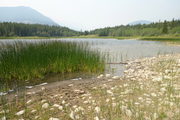mountain lake in summer