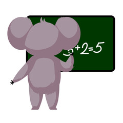 Cute koala teacher isolated on white background. Cartoon character studying math.