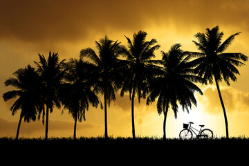 Silhouette of coconut trees in a beautiful evening