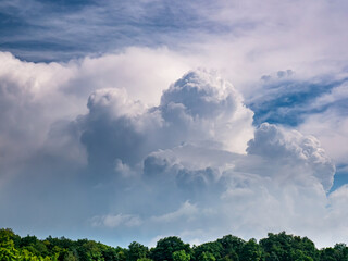 Massive rain cloud, Cumulus congestus, in the blue sky over the treetops