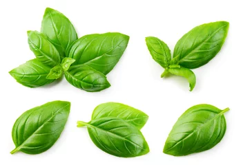 Foto op Canvas Basil isolated. Basil leaf flat lay on white background. Green basil leaves collection top view. Full depth of field. © MarcoFood