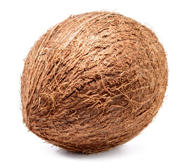 Coconut isolated. Coconut on white background. Full depth of field.