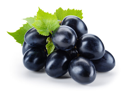 Dark blue grape isolated. Fresh black grape with leaves on white background. Clipping path. Full depth of field.