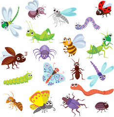 funny bugs and other insects, pattern, bugs, various poses and situations, drawing, vector, images, cartoon