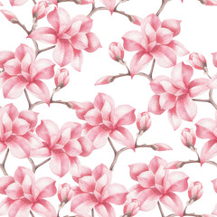 Watercolor seamless pattern with pink magnolia isolated.