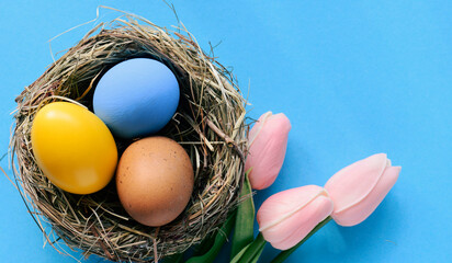multi colors painted easter eggs in colors flag of ukraine, sweden,  yellow and blue. Happy Easter holiday card