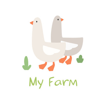 My farm. Cute vector illustration with cute geese. Children's print.