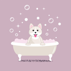 white dog takes a bath