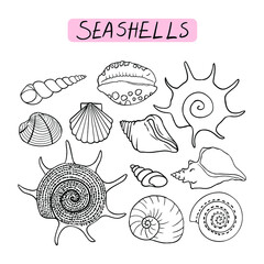 Vector set of sea shells.