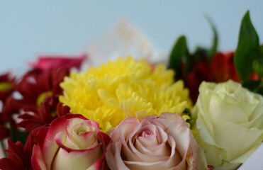 Close-up of a very beautiful lush bouquet of roses and asters on a blue background. Soft focus.