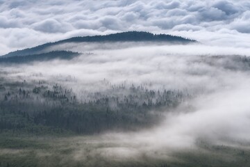 fog over the mountains